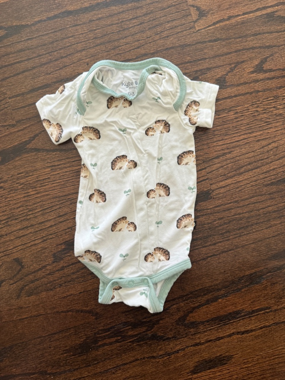 Kyte BABY White Hedgehog Print Short Sleeve One-Piece with Mint Trim